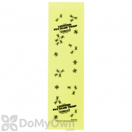 CatchMaster 924 Fly Light Replacement Glue Boards - PACK